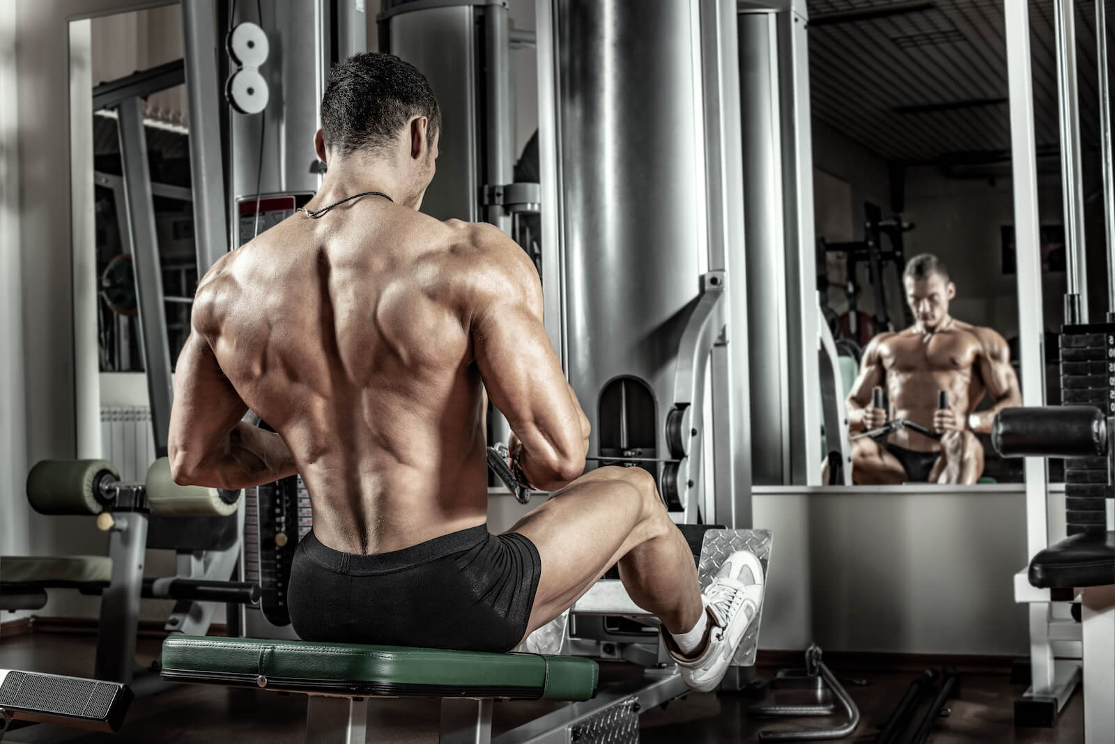 Bodybuilding