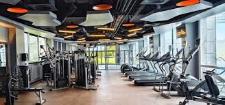 Cardio Zone