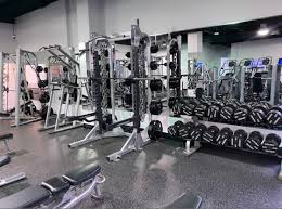Free Weights Section